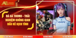 Đá Gà Thomo - Trải Nghiệm Không Gian Đấu Kê Kịch Tính 