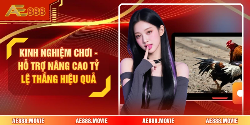 Kinh Nghiệm Chơi - Hỗ Trợ Nâng Cao Tỷ Lệ Thắng Hiệu Quả