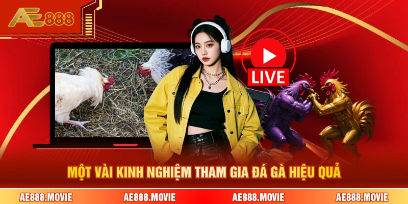 Một vài kinh nghiệm tham gia đá gà hiệu quả
